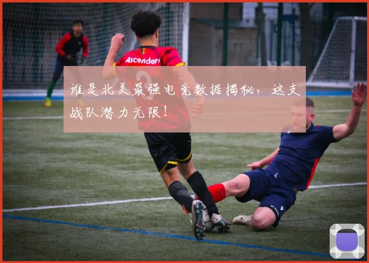 谁是北美最强电竞数据揭秘，这支战队潜力无限！