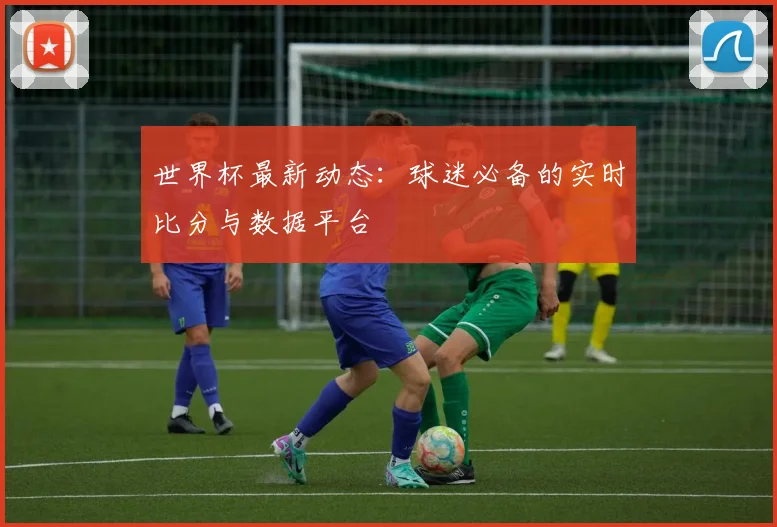 世界杯最新动态:球迷必备的实时比分与数据平台